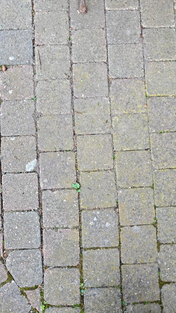 Gebruikte stenen beschikbaar in 2 formaten, Ophalen of Verzenden, Gebruikt, Beton, Klinkers