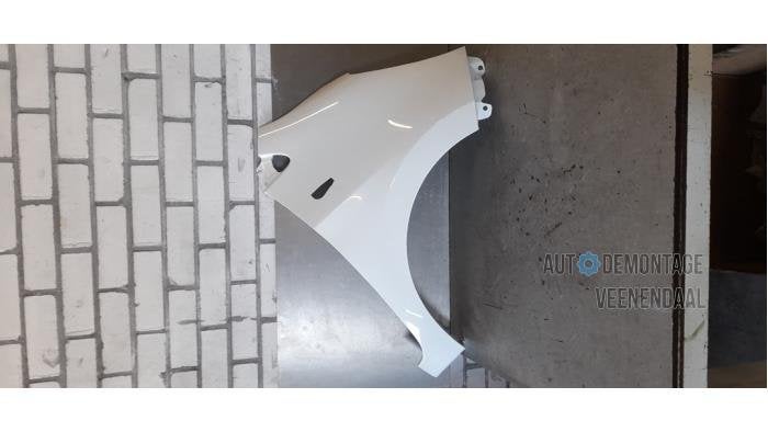 Scherm links-voor van een Kia Picanto (UD), Auto-onderdelen, Carrosserie en Plaatwerk, Kia, Nieuw, 3 maanden garantie, Ophalen of Verzenden