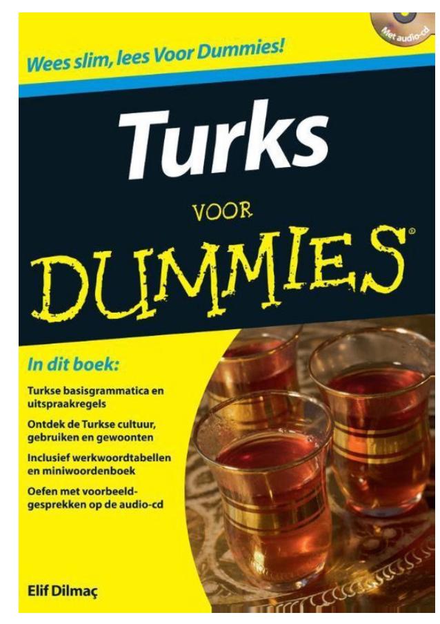Turks voor dummies (met CD), Boeken, Taal | Overige Talen, Zo goed als nieuw, Ophalen of Verzenden