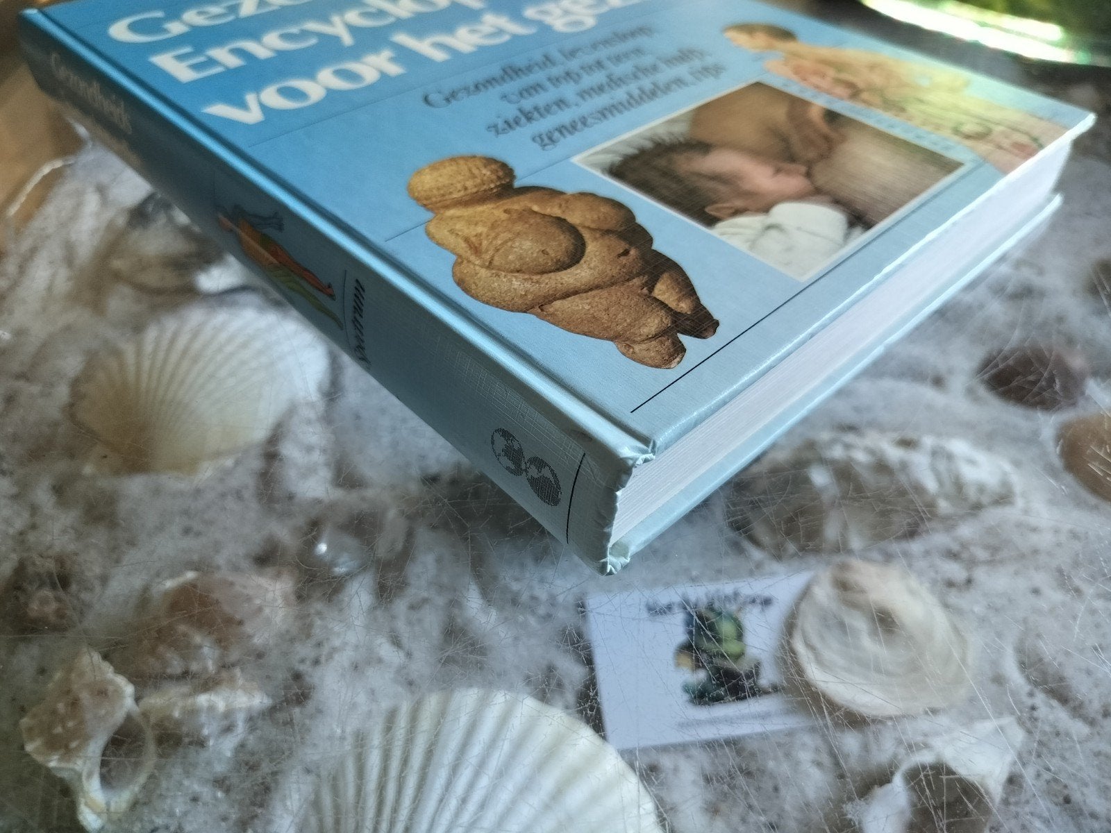 gezondheids encyclopedie voor het gezin, Boeken, Ophalen of Verzenden, Gelezen