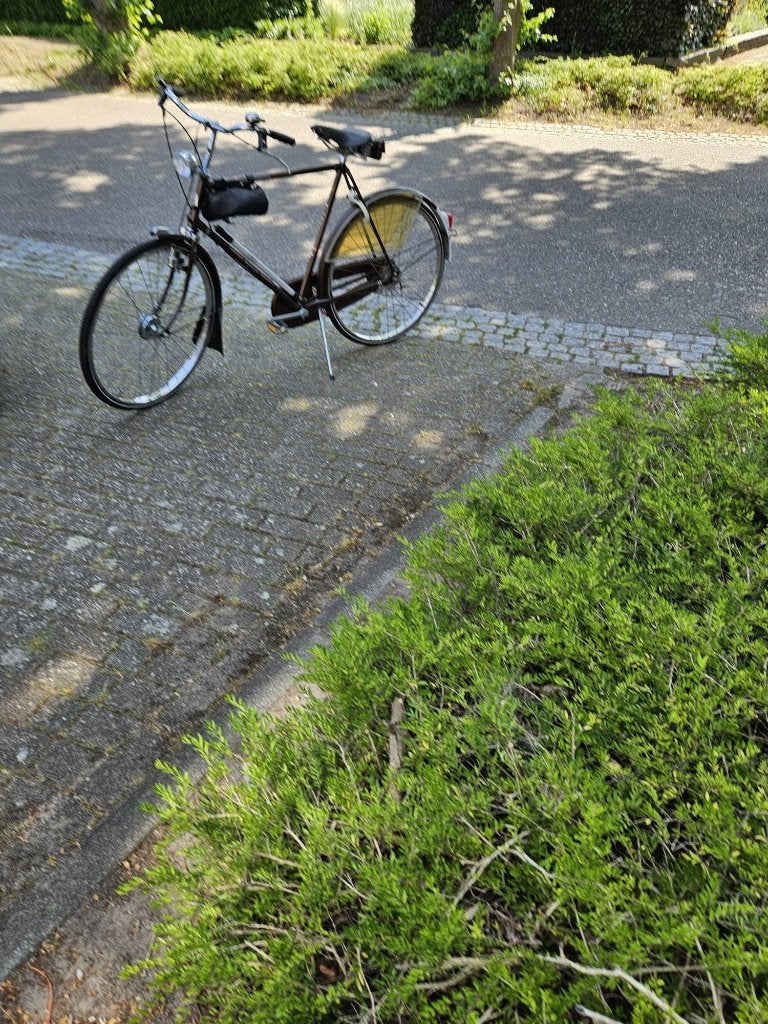 Herenfiets Gazelle Cheetah, Ophalen, Gebruikt, Gazelle, Versnellingen