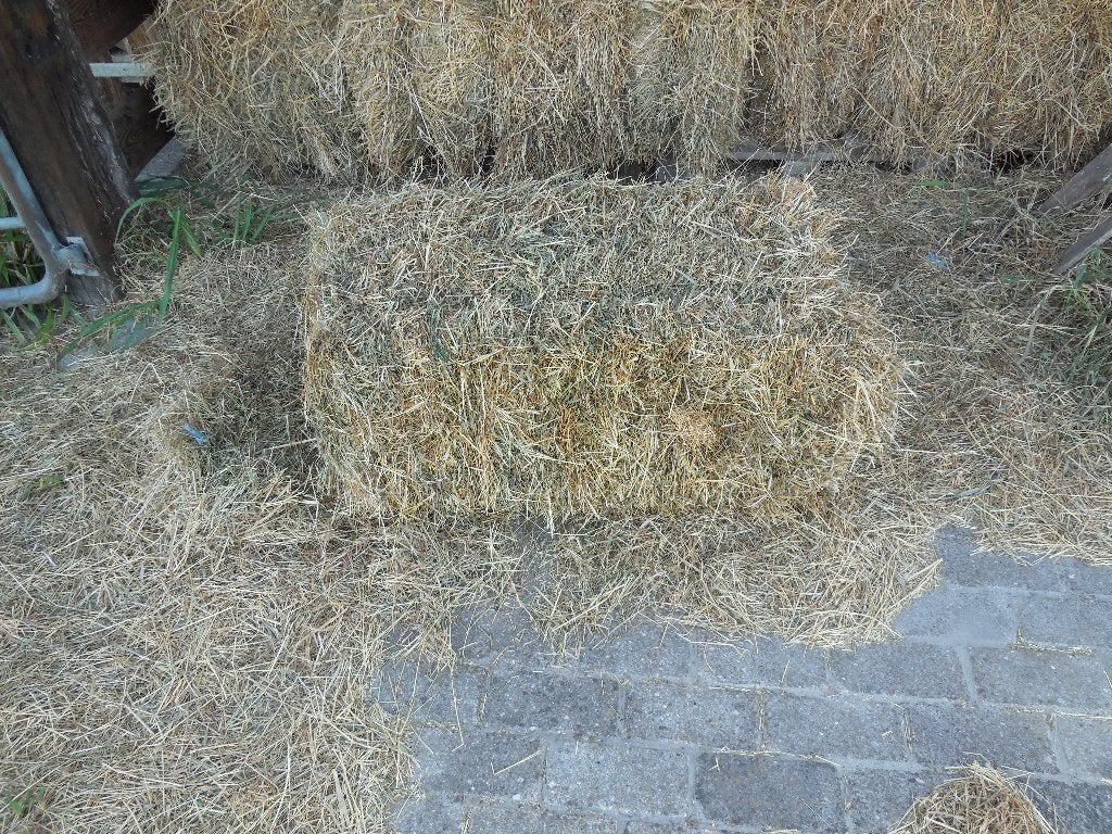 Pakjes hooi, Dieren en Toebehoren, Dierenvoeding, Ophalen, Vee