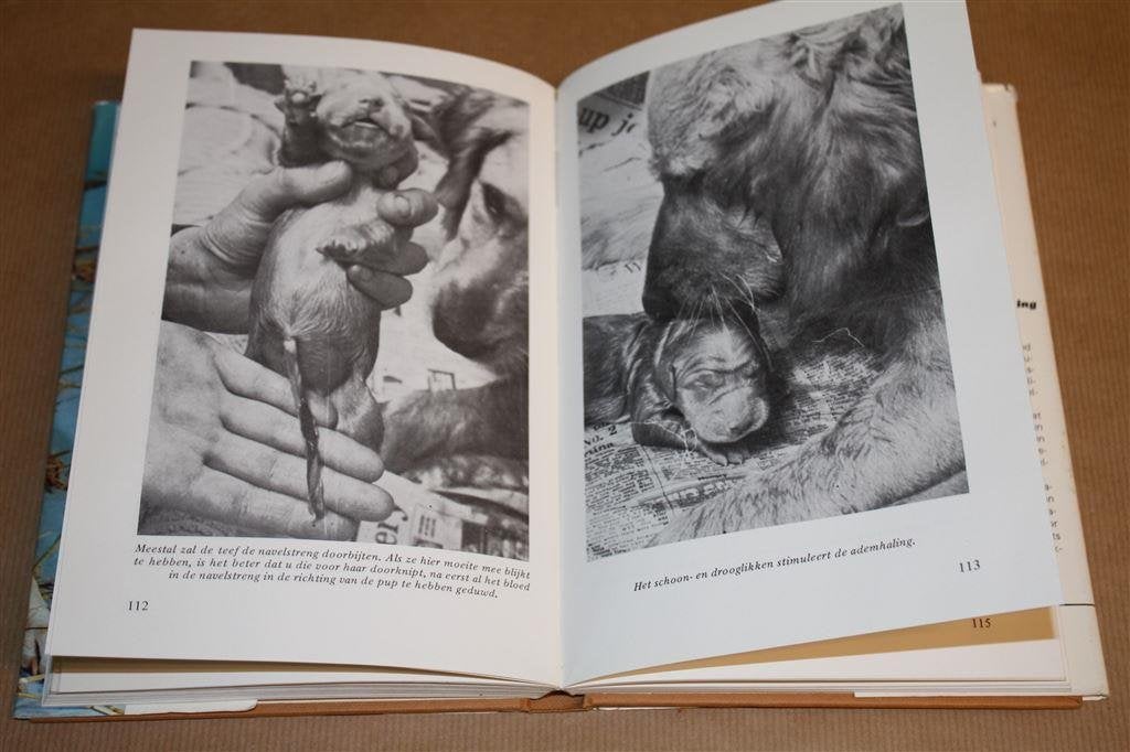 De bevruchting, geboorte en voeding van honden., Ophalen of Verzenden, Gelezen, Honden