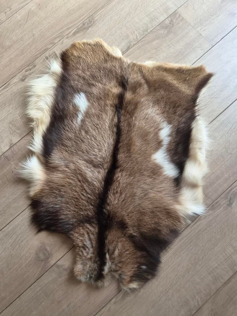 Geitenhuid - Decoratief en Uniek, Gebruikt, 50 tot 100 cm, Bruin, Natuurlijk, Rustiek, Landelijk