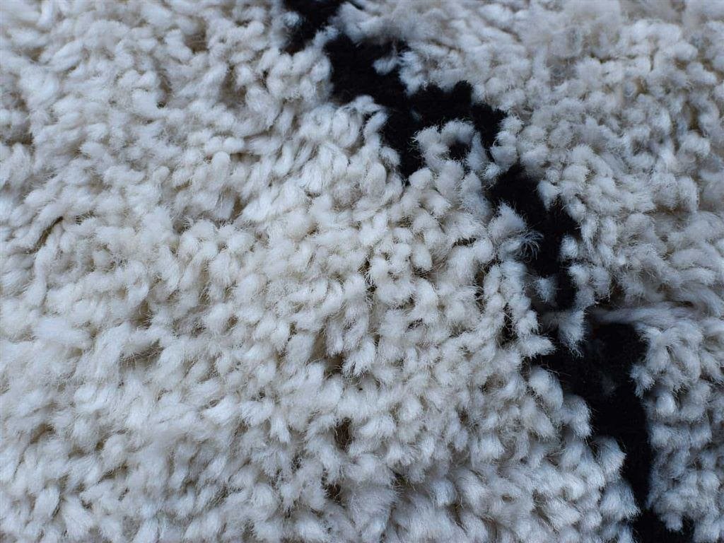 Hoogpolige vloerkleed 52992, Gebruikt, Zwart, 200 cm of meer, Ophalen of Verzenden