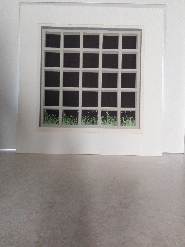 Zeefdruk ~ Gijs Winkelman, "Gelijkvormige verscheidenheid"., Ophalen of Verzenden, Zeefdruk