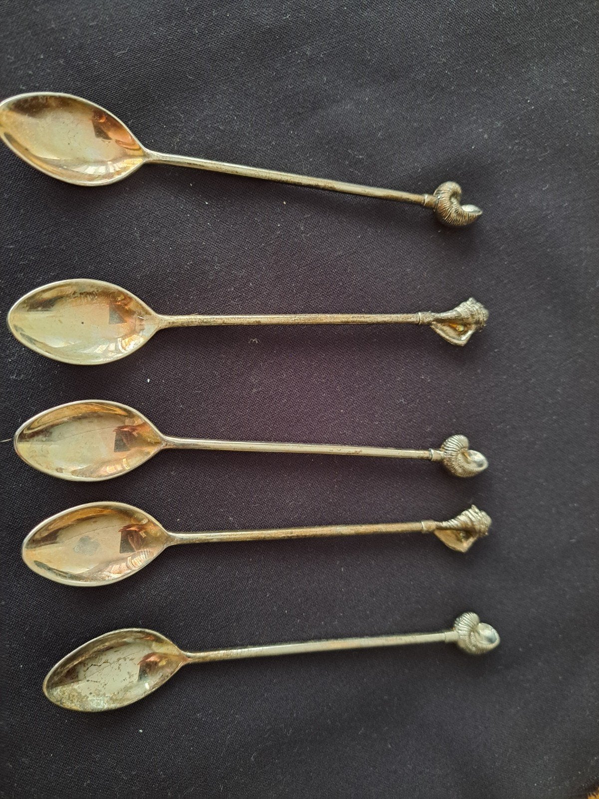 theelepeltjes met schelpen, Ophalen of Verzenden