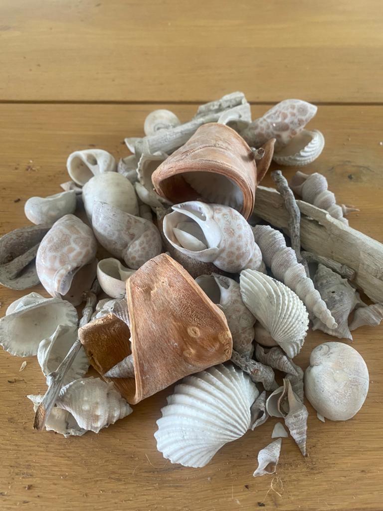 Schelpendecoratie, Huis en Inrichting, Woonaccessoires | Kransen, Verzenden, Zo goed als nieuw