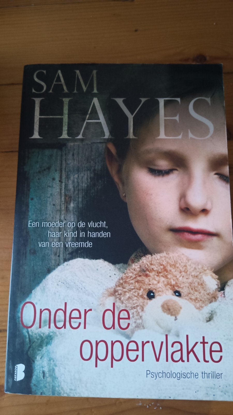Sam Hayes onder de oppervlakte, Ophalen of Verzenden, Zo goed als nieuw
