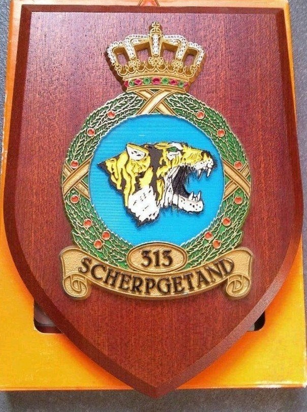Houten wapenschildjes 311 Squadron en 312 Squadron gezocht, Ophalen, Zo goed als nieuw, Patch, Badge of Embleem