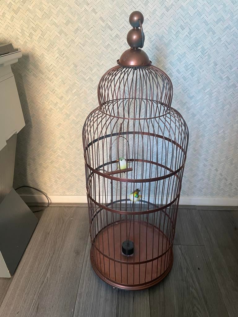 Grote Decoratieve Vogelkooi - Klassiek/Vintage Metaal, Antiek en Kunst, Curiosa en Brocante, Ophalen