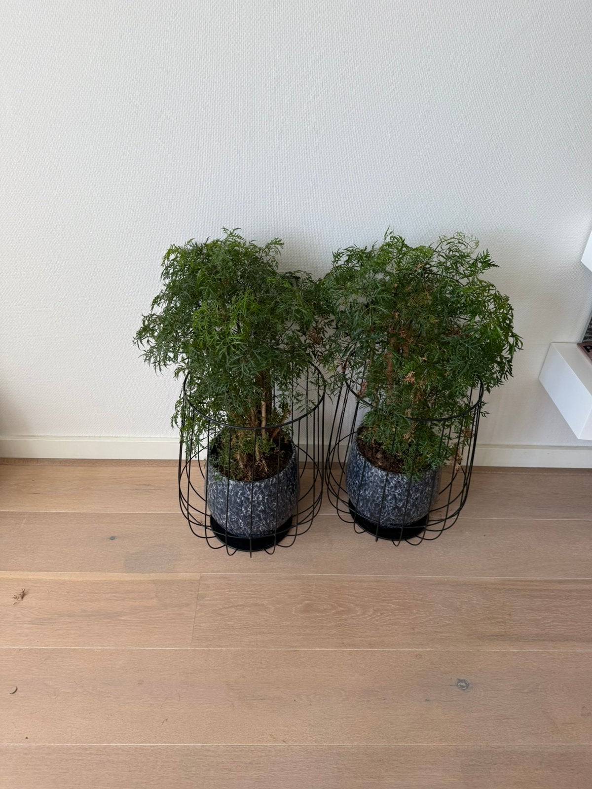 Stalen potten met planten, Huis en Inrichting, Ophalen, Zo goed als nieuw