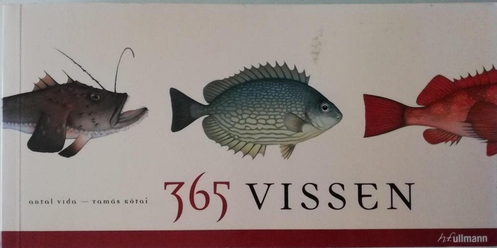 365 vissen Auteur: Antal Vida, Ophalen of Verzenden, Zo goed als nieuw, Natuur algemeen