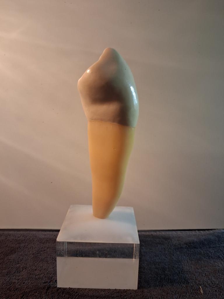 Snijtand op sokkel, Ophalen of Verzenden