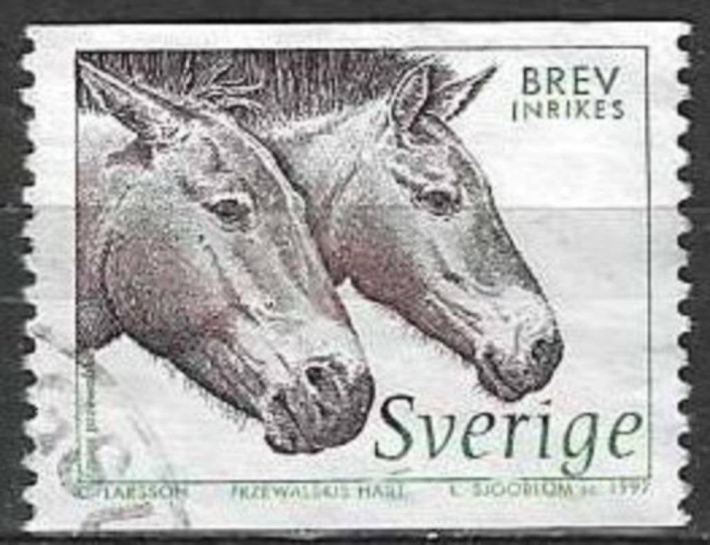 Zweden 1997 - Yvert 1973 - Przewalski paardenkop (ST), Verzenden, Zweden, Gestempeld