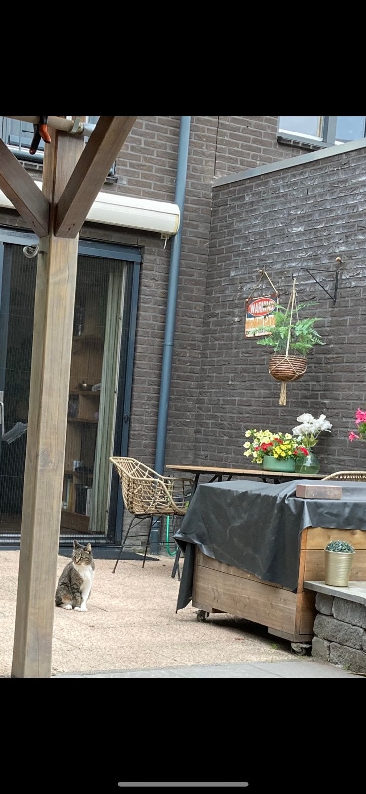 Gratis tuintegels, Ophalen, Zo goed als nieuw, Beton, Terrastegels