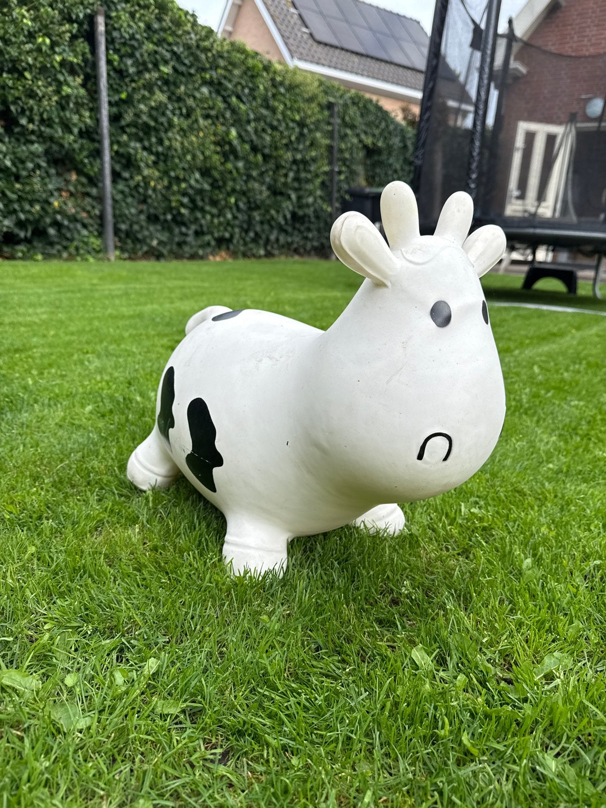Opblaasbare koe springdier voor kinderen, Ophalen of Verzenden, Gebruikt