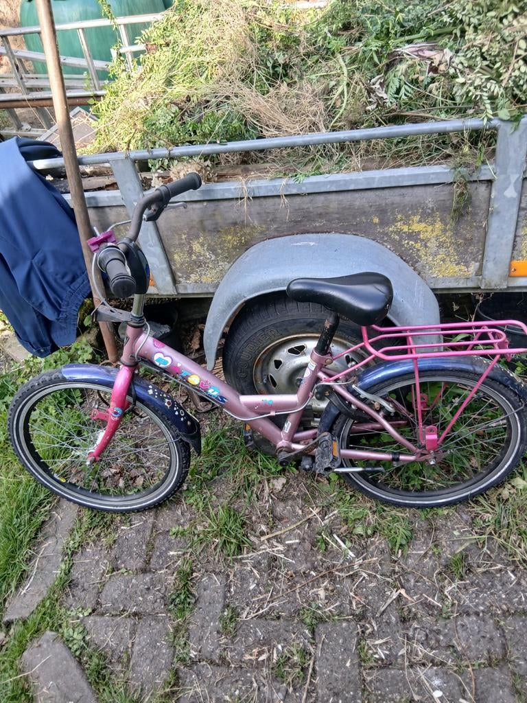 Roze kinderfiets met bagagedrager 20 inch, Fietsen en Brommers, Fietsen | Kinderfietsjes, Ophalen, Gebruikt, 16 tot 20 inch