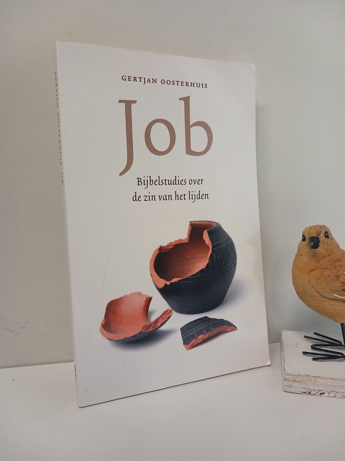 Oosterhuis, Gertjan; Job (Bijbelstudies over de zin van het, Boeken, Ophalen of Verzenden, Gelezen, Christendom | Protestants