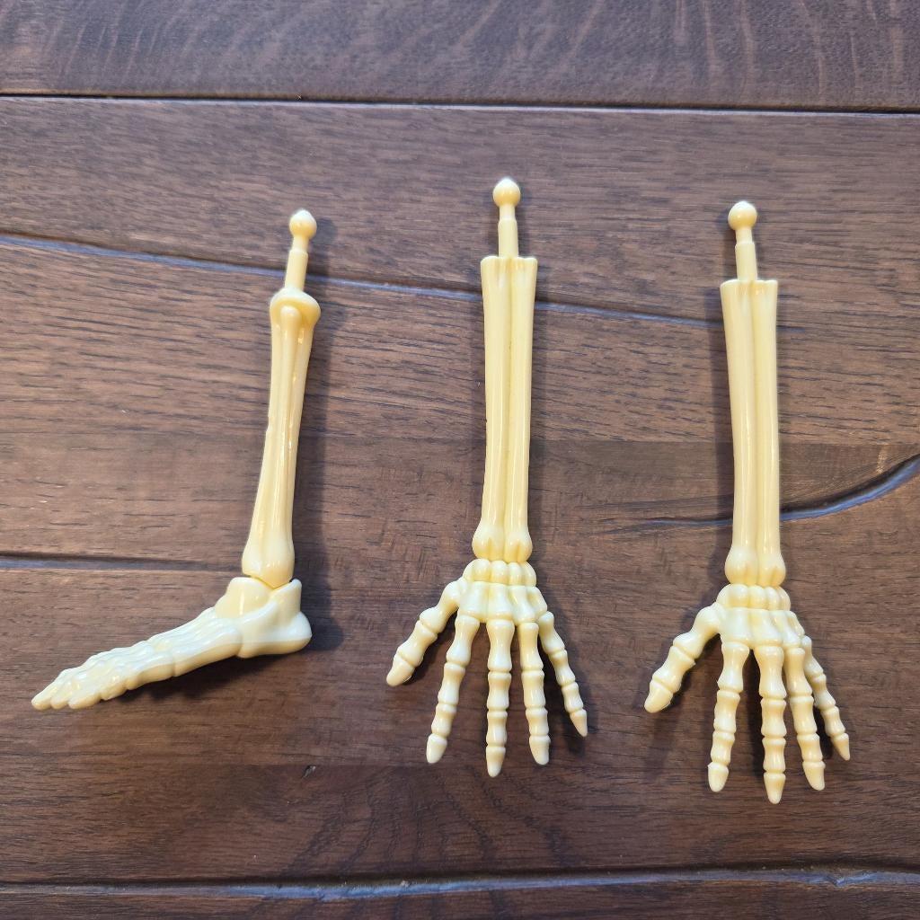 Plastic skelet onderarmen + hand en onderbeen +voet #250, Diversen, Ophalen of Verzenden, Gebruikt