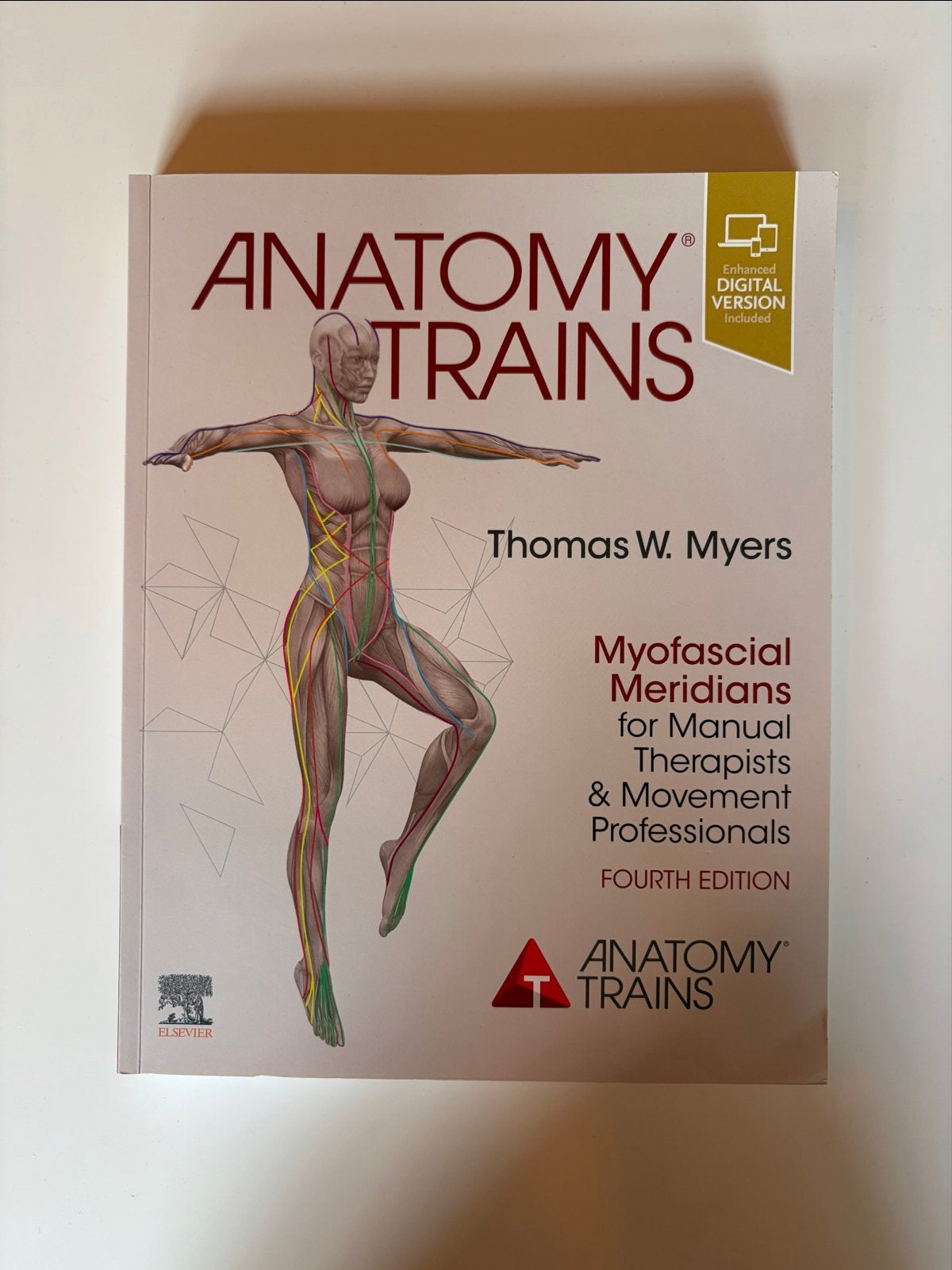 Anatomy Trains: Myofascial Meridians - HBO Fysiotherapie, Ophalen of Verzenden, Gamma, Zo goed als nieuw, HBO