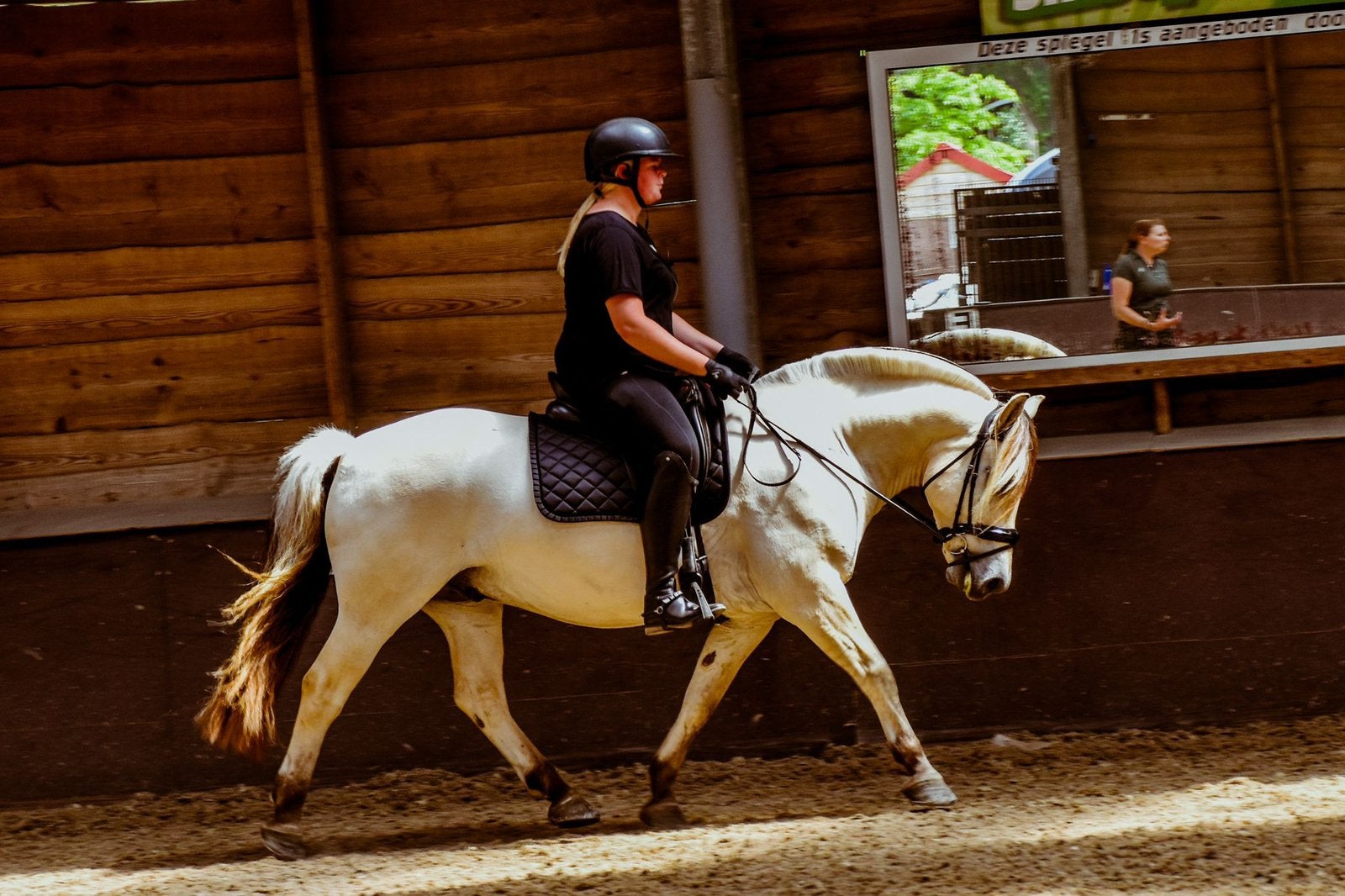 Lieve leaser gezocht voor 11 jarige fjord ruin in Hattem, Ophalen, Nieuw