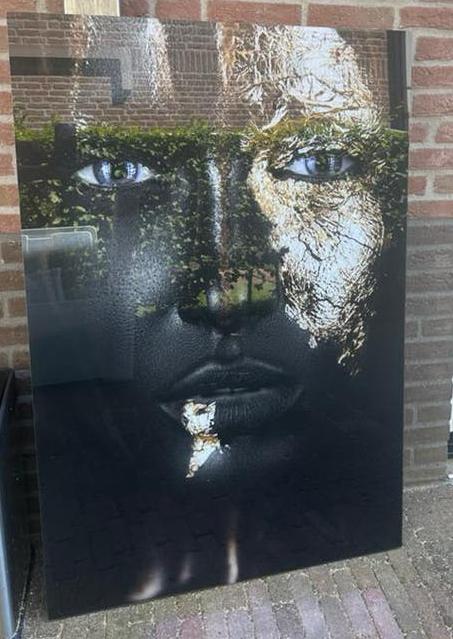 Plexiglas kunstwerk 80x120 cm staand, Ophalen, Zo goed als nieuw, 75 tot 100 cm, Overige typen