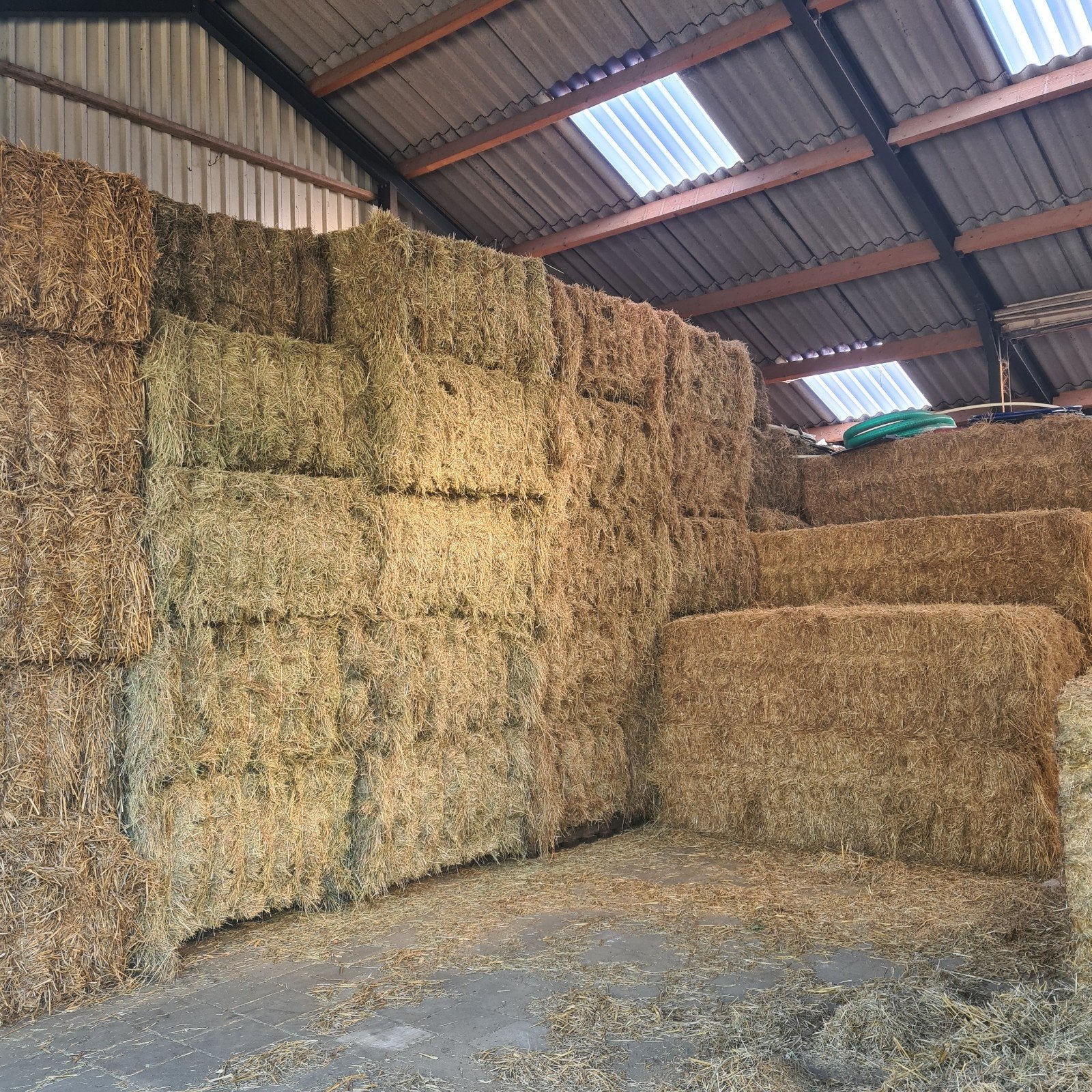 Mooi paardenhooi hooipakken 240x120x70 van 2026, Dieren en Toebehoren, Stalling en Weidegang