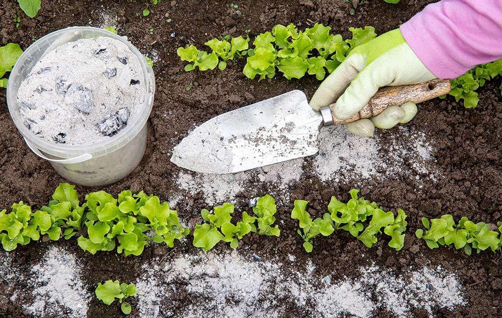Houtas: ecologische tuinbooster, Ophalen of Verzenden