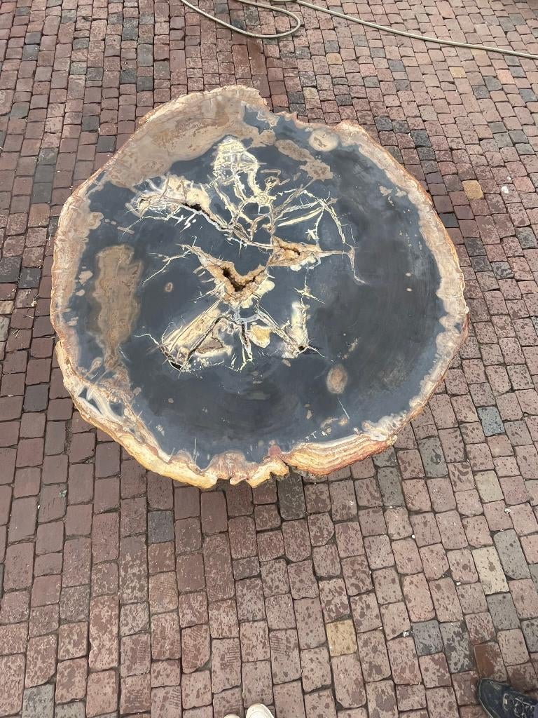 versteend hout, Ophalen, Overige typen