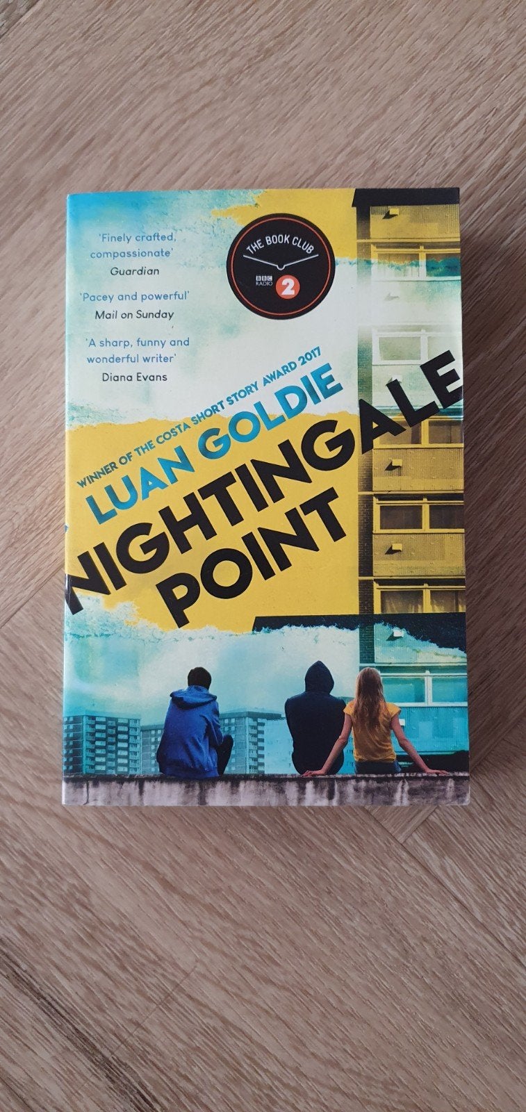 Boek Nightingale Point - Luan Goldie, Ophalen of Verzenden