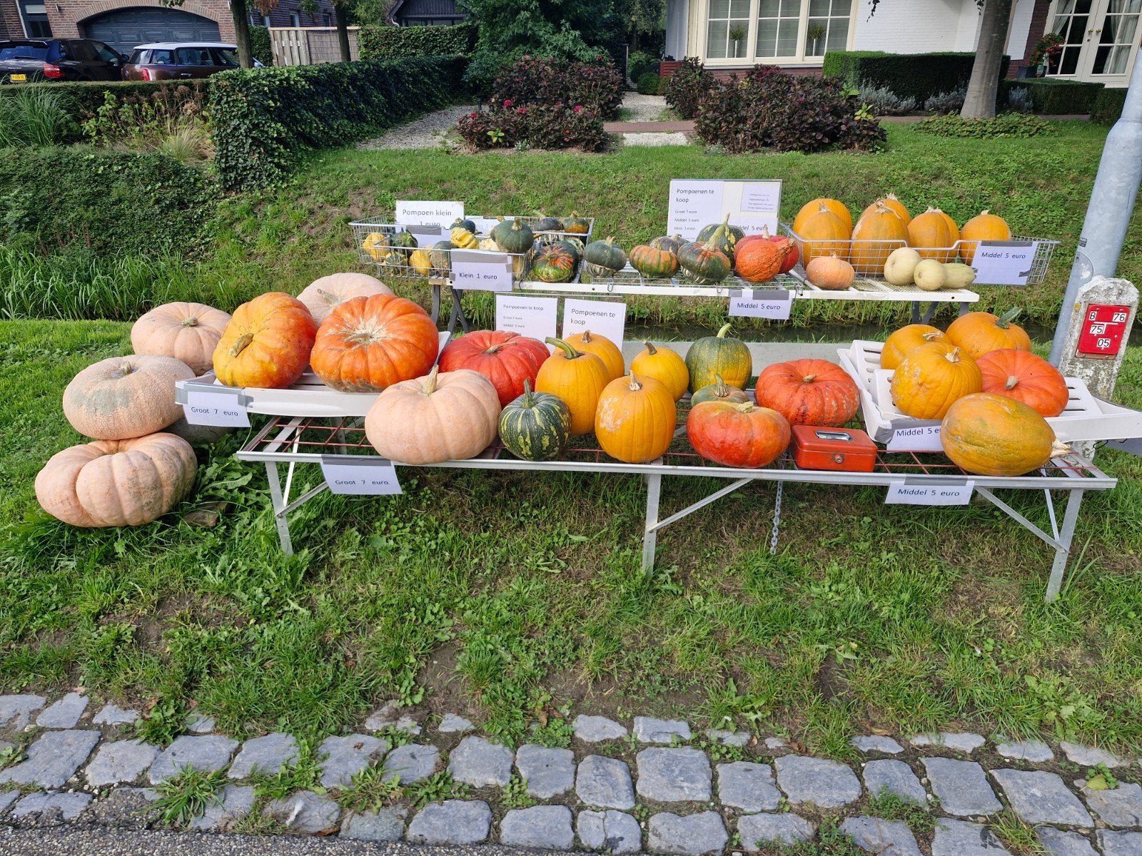 Pompoenen te koop, Ophalen