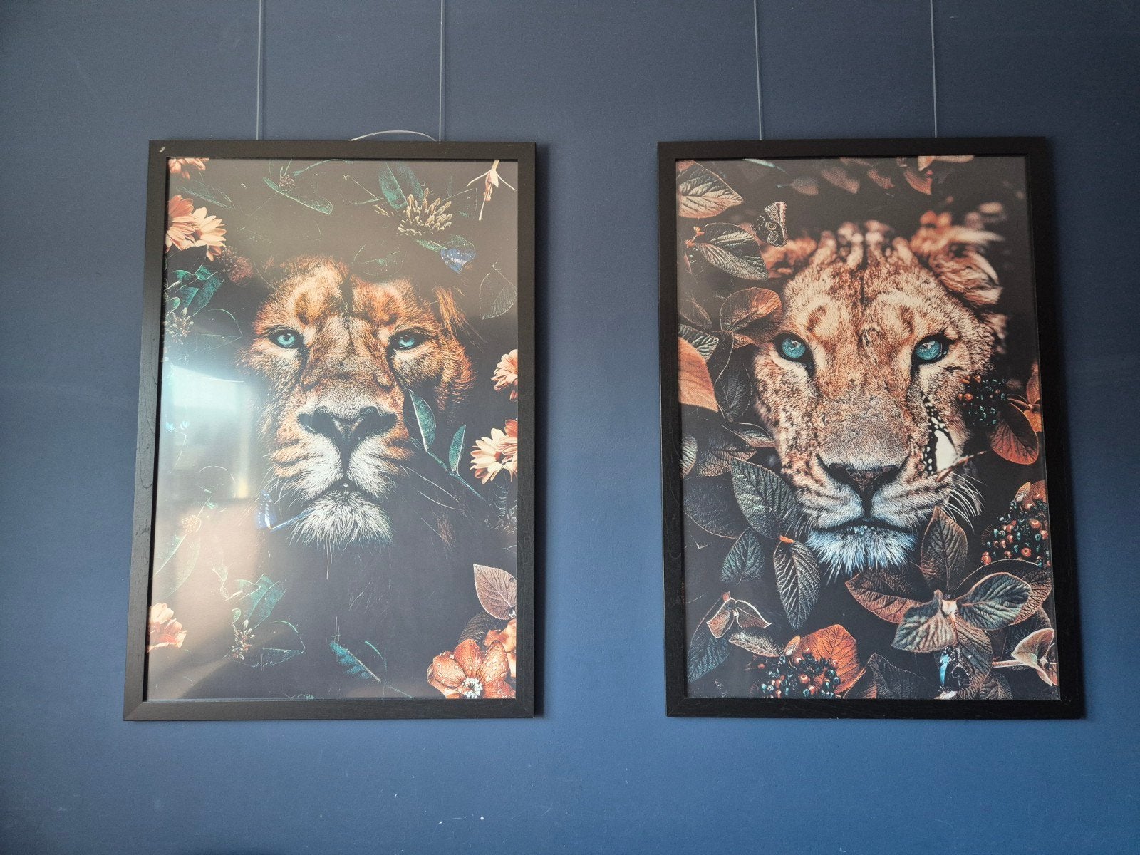 Set van 2 ingelijste schilderijen: Leeuw en Leeuwin, Antiek en Kunst, Kunst | Schilderijen | Modern, Ophalen, Hout, Dieren, Print