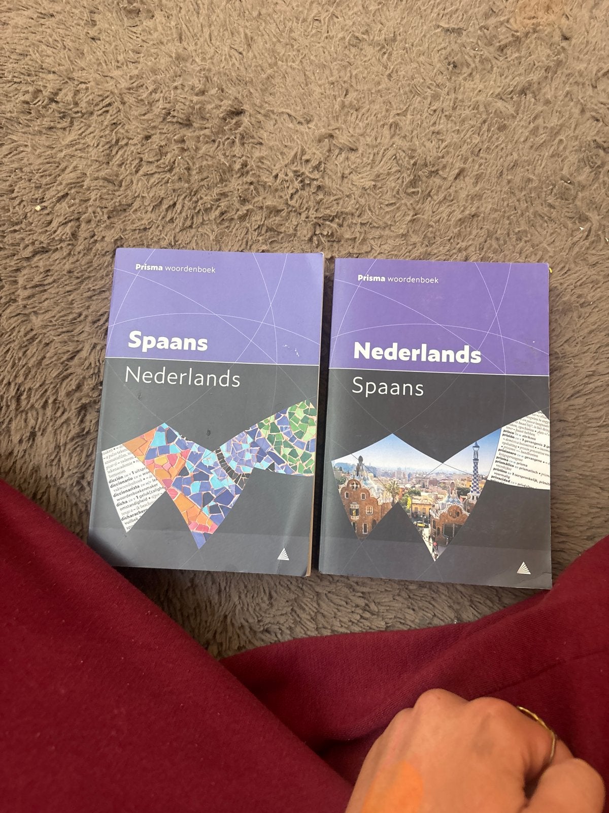 Prisma Woordenboek Spaans-Nederlands & Nederlands-Spaans, Boeken, Ophalen of Verzenden, Zo goed als nieuw, Prisma of Spectrum