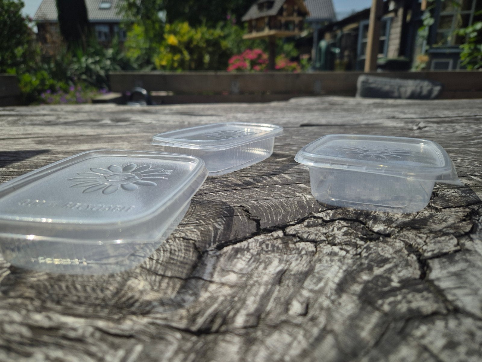 Salad Boxx - Transparante bewaarbakjes met deksel, Ophalen, Kunststof, Nieuw, Voorraadpot