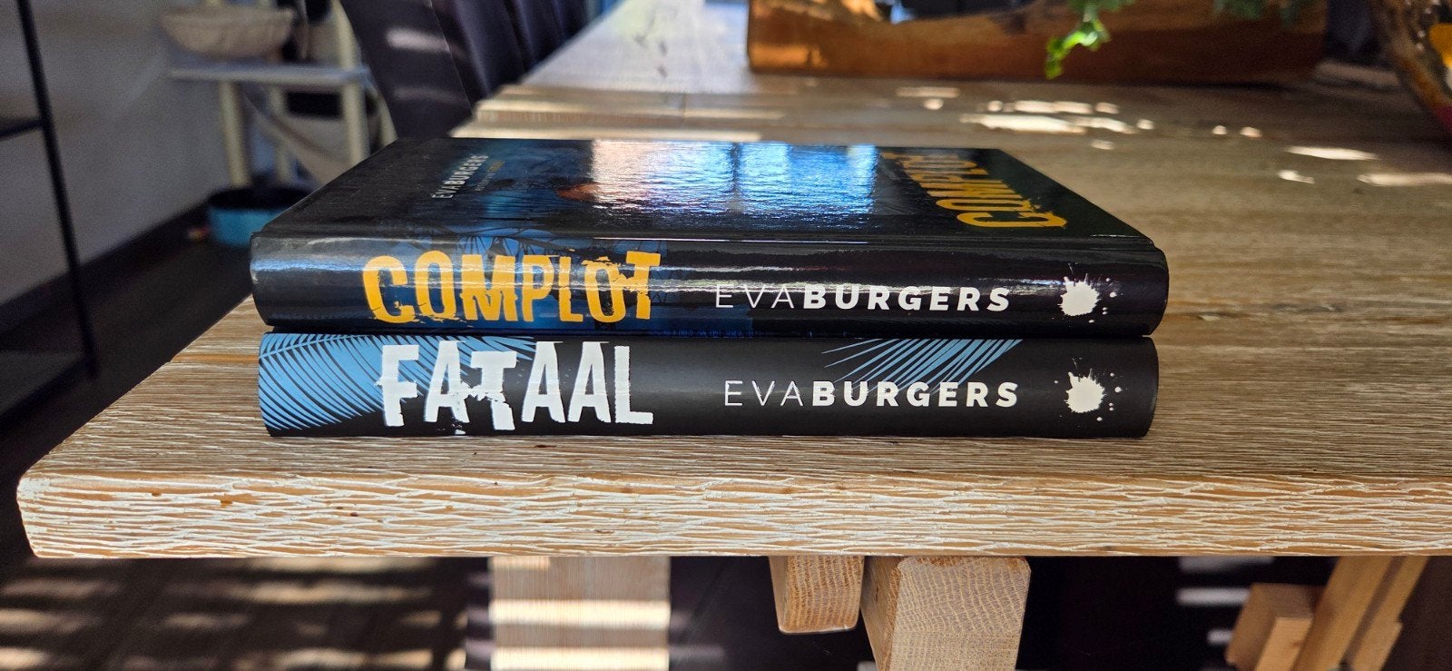 Boeken Eva Burgers, Ophalen of Verzenden, Zo goed als nieuw, Eva Burgers