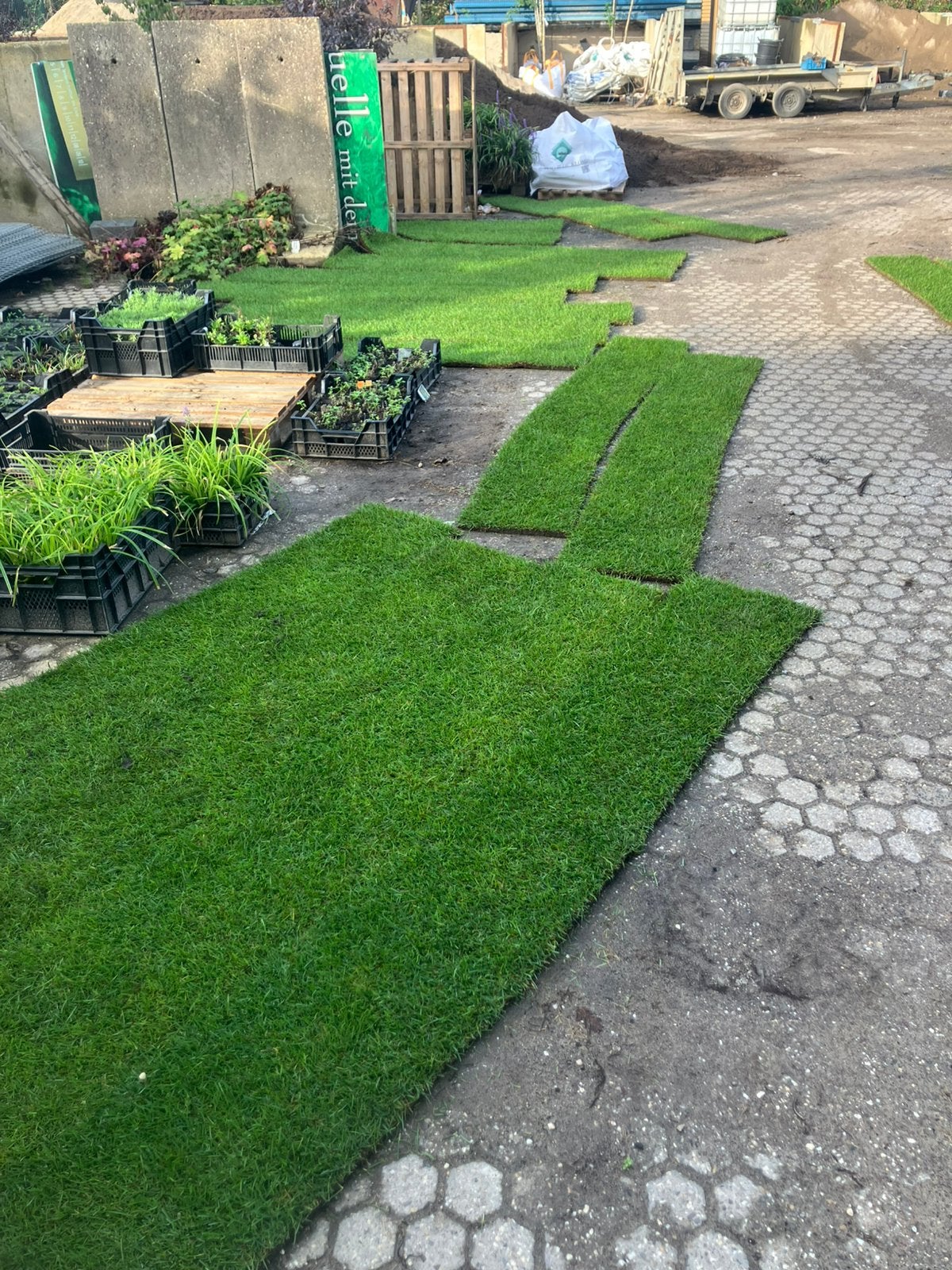 Graszoden nu af te halen nog 22 m2, Ophalen, Nieuw, 20 m² of meer