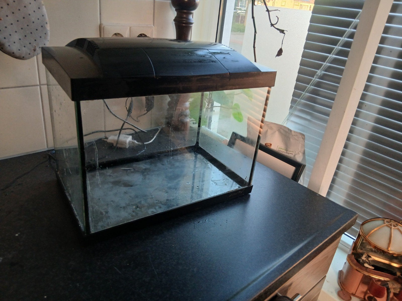 aquarium, Ophalen of Verzenden, Zo goed als nieuw, Leeg aquarium
