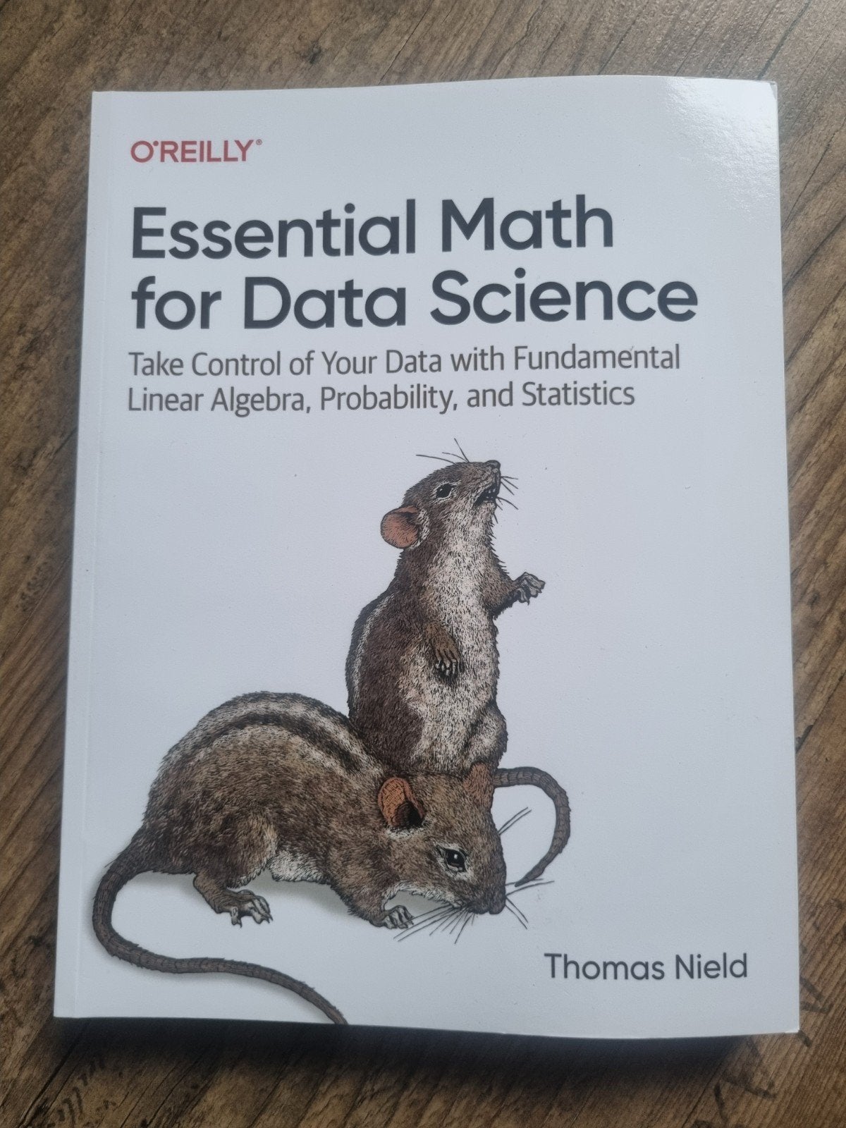 Essential Math for Data Science - Thomas Nield, Zo goed als nieuw, Thomas Nield, Beta, HBO