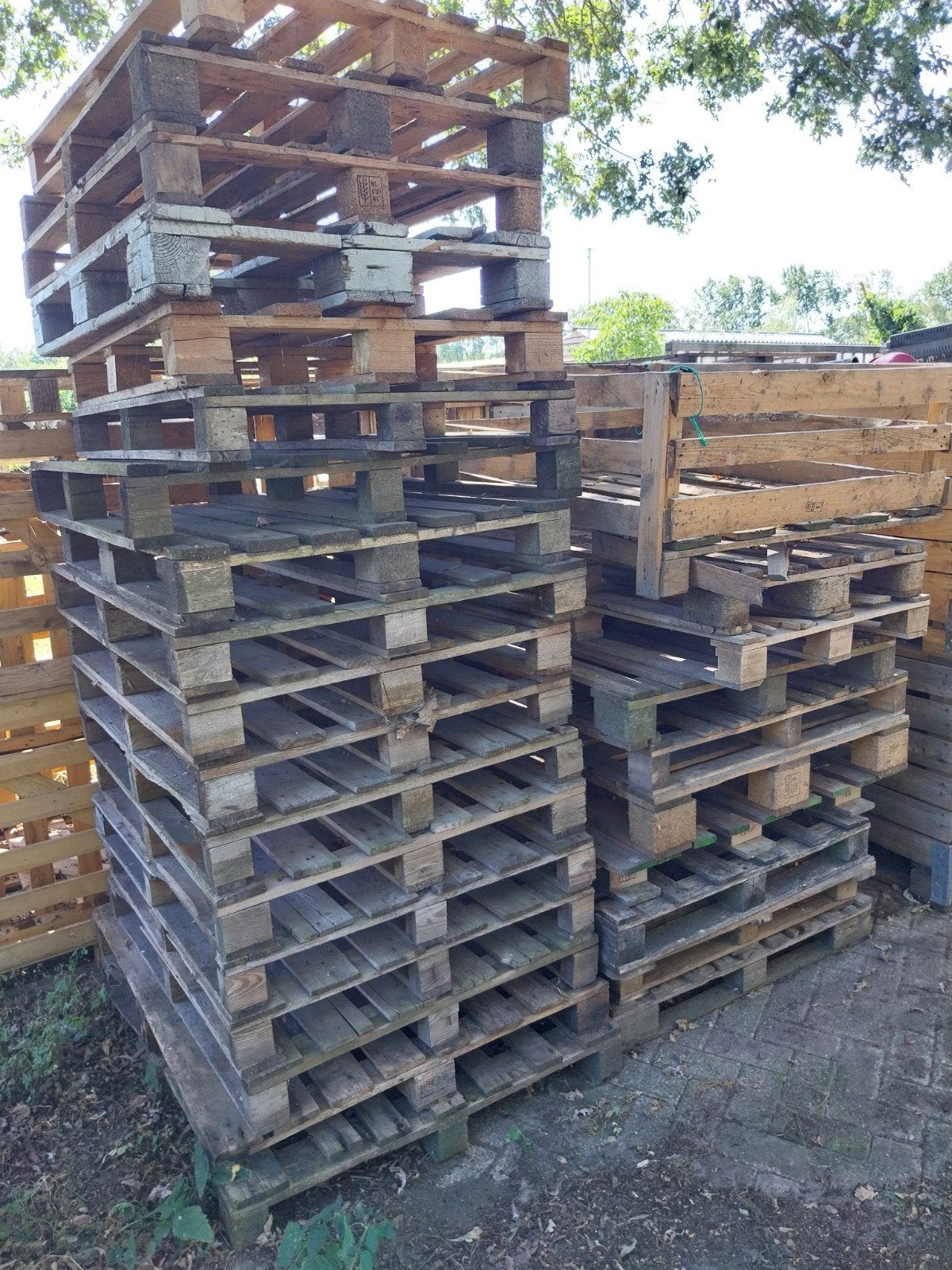 Partij gebruikte pallets - diverse maten en types, Ophalen, Gebruikt, 50 mm of meer, Pallet
