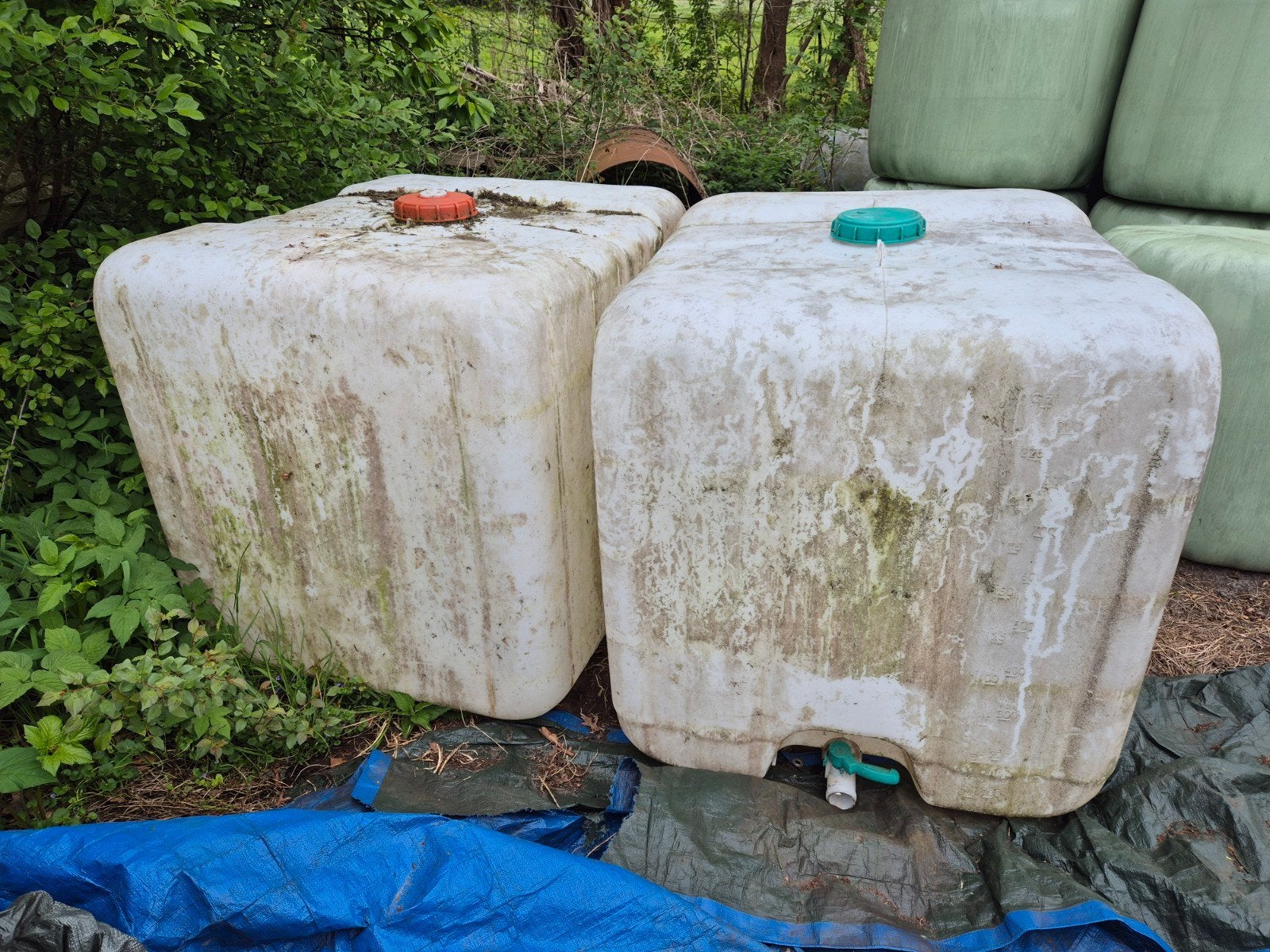 Grote IBC watertank - Ideaal voor regenwateropvang, 150 liter of meer, Ophalen, Gebruikt, Kunststof