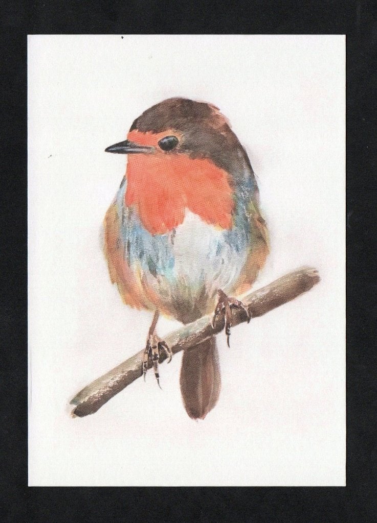 Ansichtkaart Roodborstje Erithacus Rubecula, Ellen Draaisma, Ophalen of Verzenden, 1980 tot heden, Ongelopen, Vogel