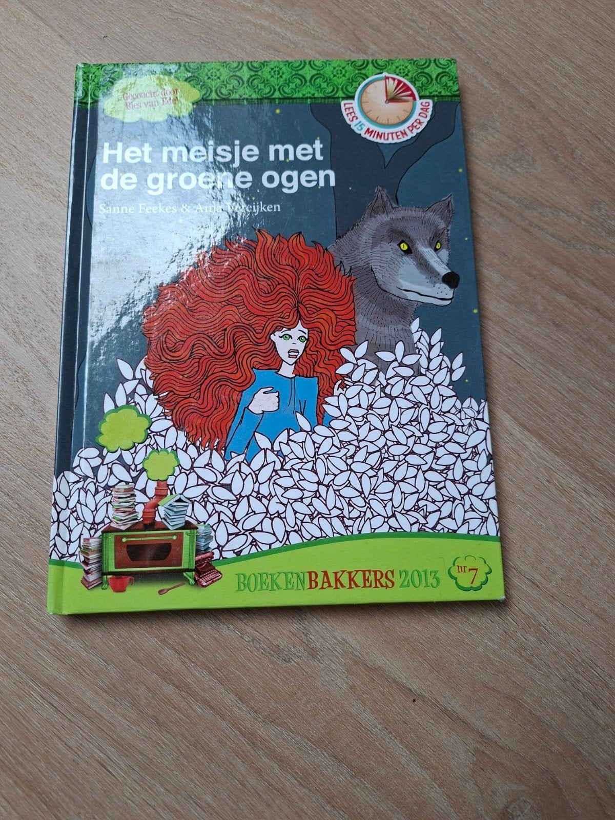Het meisje met de groene ogen, Sanne Feekes & Anja Vereijken, Boeken, Sanne Feekes & Anja Vereijken, Ophalen of Verzenden, Zo goed als nieuw