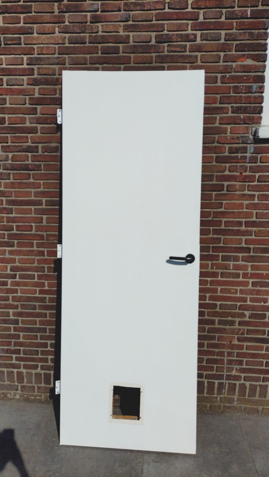 Witte binnendeur+deurbeslag met gat voor kattenluik, gratis, Ophalen, Gebruikt, Minder dan 80 cm, Binnendeur