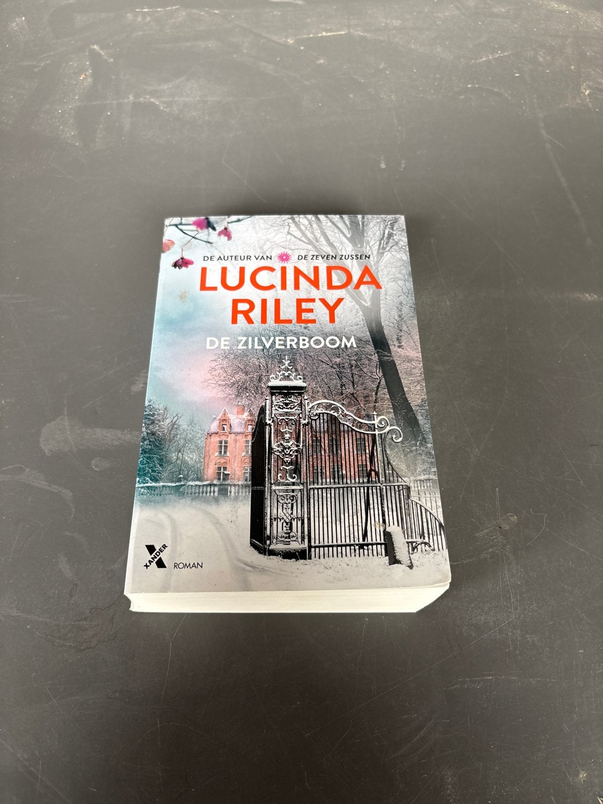 Lucinda Riley - De Zilverboom, Boeken, Romans, Ophalen of Verzenden, Gelezen, Europa overig