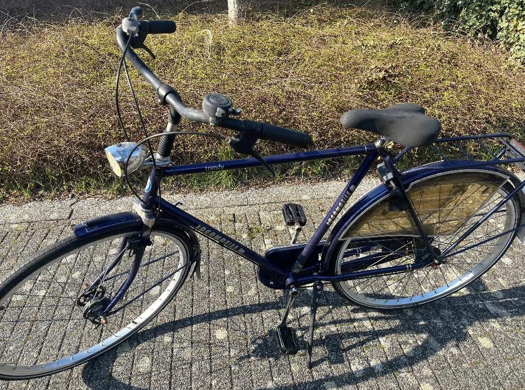 Stevige herenfiets 28 inch, Gebruikt, Versnellingen, 53 tot 57 cm, Ophalen