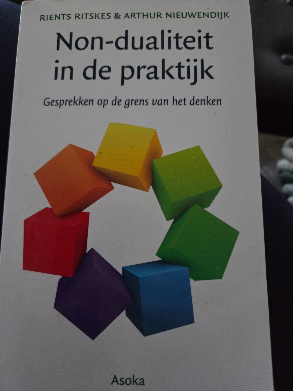non-dualiteit in de praktijk, Ophalen of Verzenden, Zo goed als nieuw, Overige onderwerpen, Ritskes