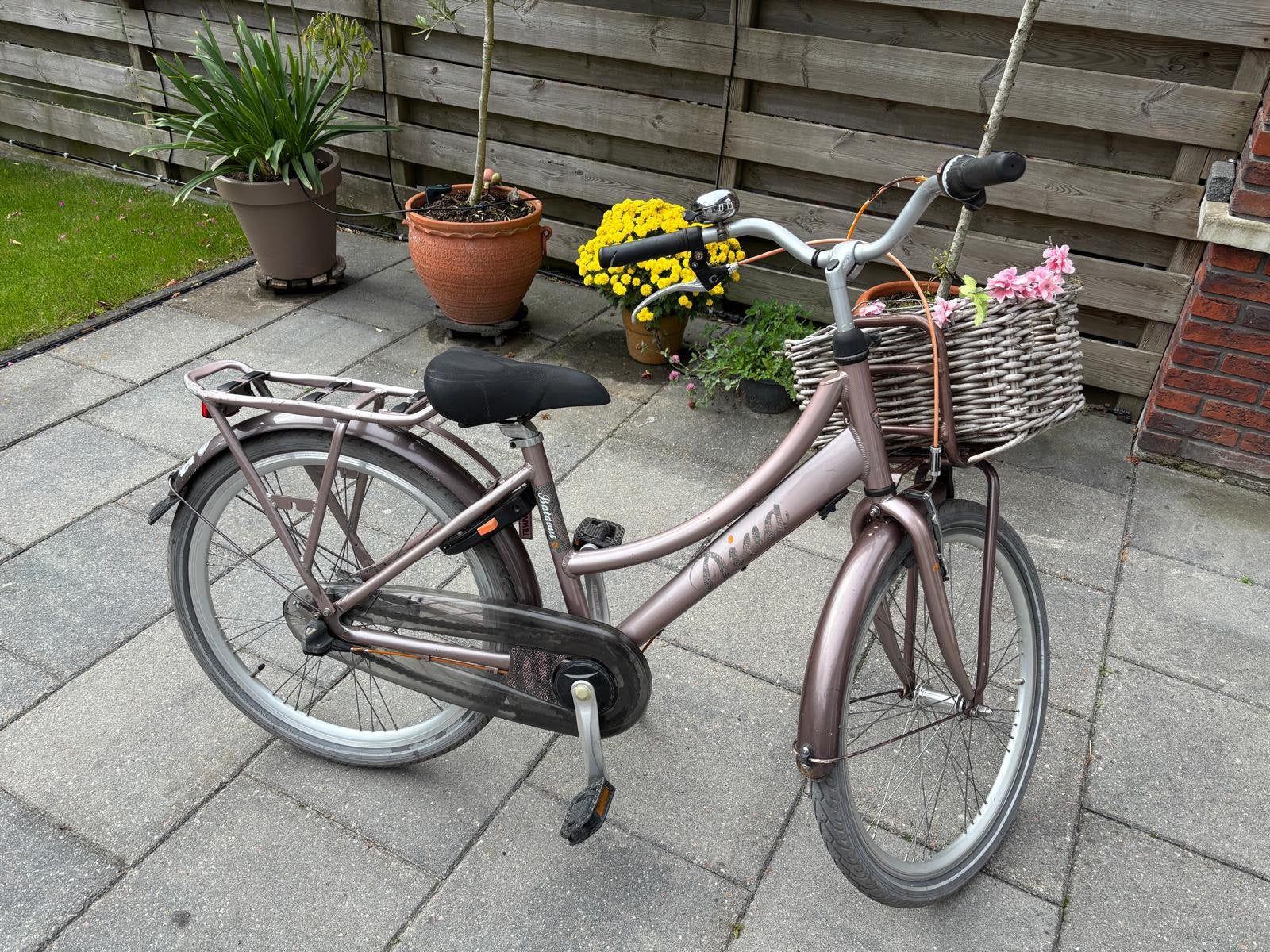 Meisjesfiets Batavus Diva, Ophalen, Terugtraprem, Versnellingen, Gebruikt