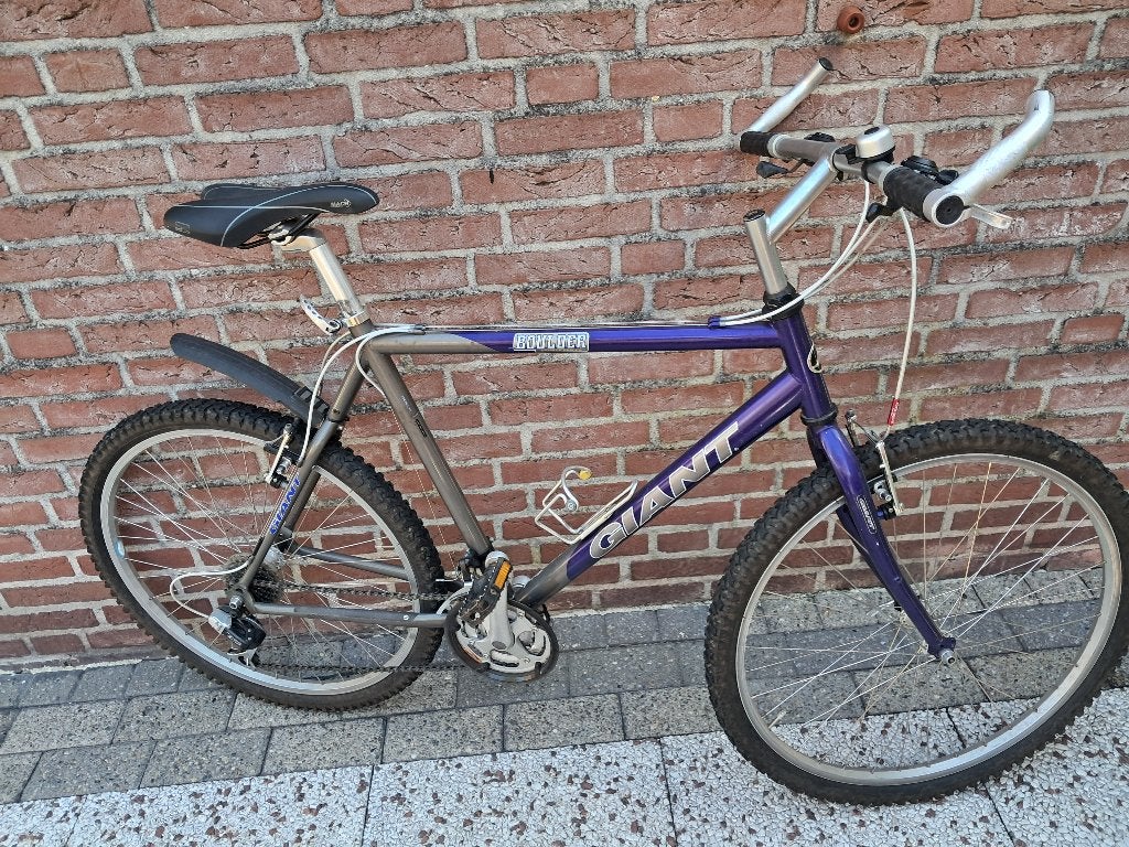 Mountainbike, Fietsen en Brommers, Fietsen | Mountainbikes en ATB, Ophalen, Gebruikt, Giant, Geen vering