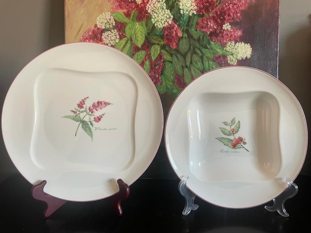2 NIEUWE Villeroy&Boch vivo borden met botanische bloemen, Huis en Inrichting, Keuken | Servies, Nieuw, Ophalen of Verzenden, Bord(en)